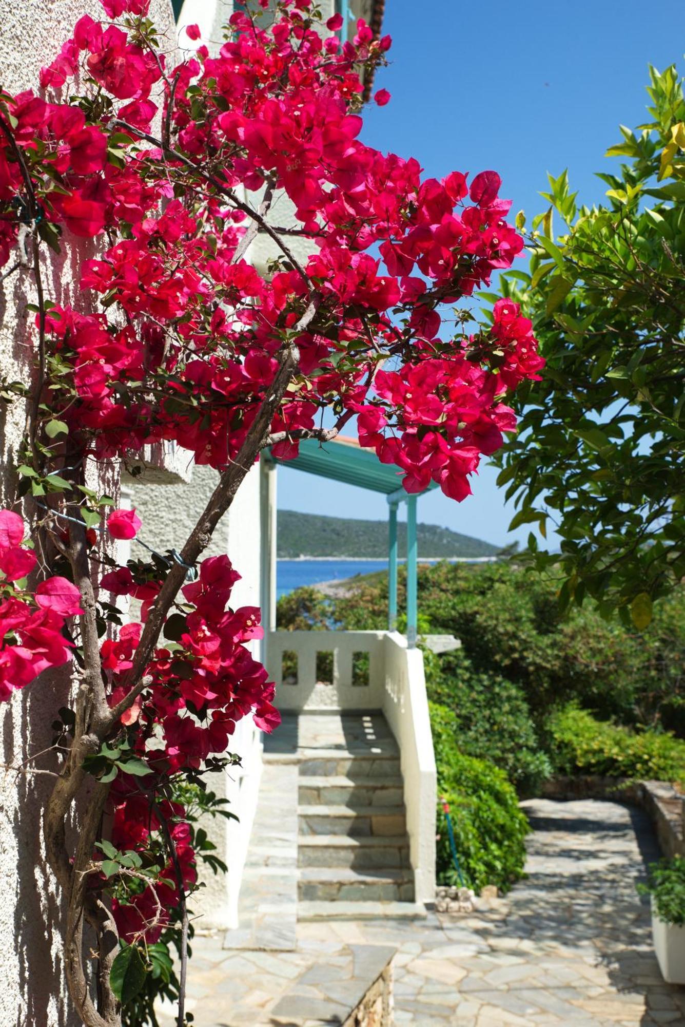 Casa Kalypso Apartment *